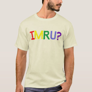 T-shirt Je suis suis vous fierté d'arc-en-ciel d'IMRU
