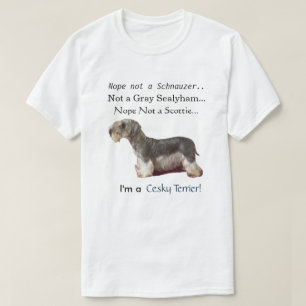 T-shirt Je suis un Cesky Terrier