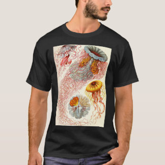 T-shirt Jellyfish Ernst Haeckel