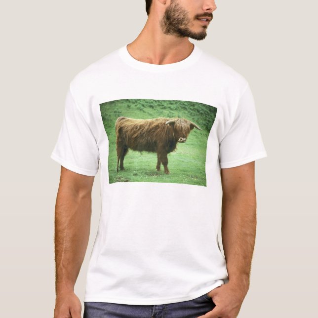 T-shirt Jeune bovin des Highlands, île de Mull, Intérieur (Devant)