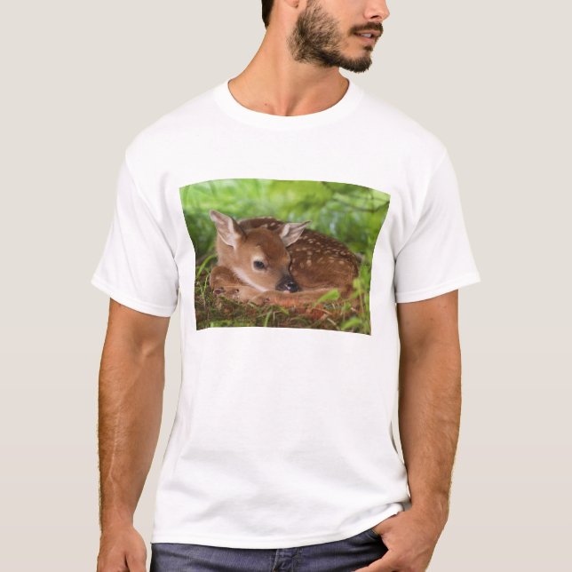 T-shirt Jeune cerf à queue blanche âgé de deux jours, Kent (Devant)