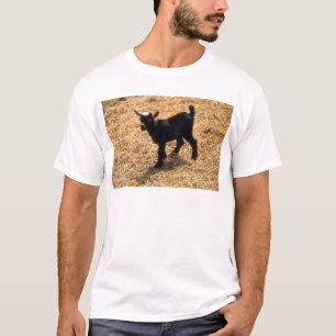 T-shirt Jeune chèvre de Pigmy