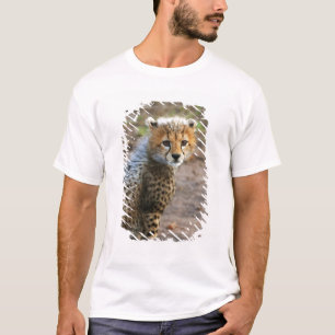 T-shirt Jeune guépard Acinonyx Jubatus)