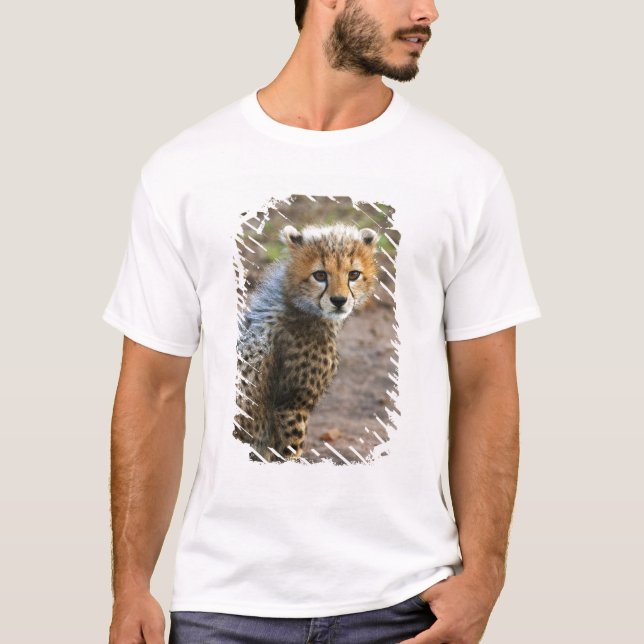 T-shirt Jeune guépard Acinonyx Jubatus) (Devant)