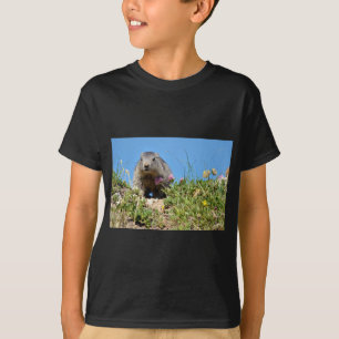 T-shirt Jeune marmotte alpine