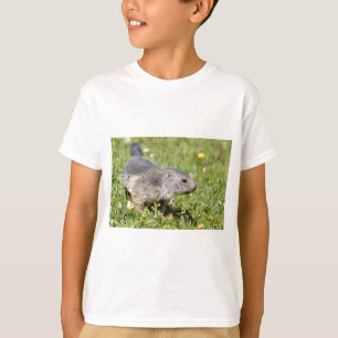 T-shirt Jeune marmotte alpine dans l'herbe