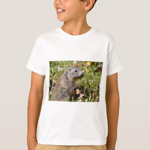 T-shirt Jeune marmotte alpine dans l'herbe