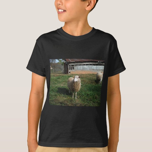 T-shirt Jeune mouton blanc sur la ferme (Devant)