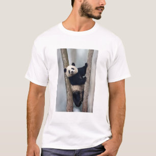 T-shirt Jeune panda grimpant à un arbre, Chine