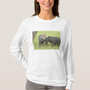 T-shirt Jeunes éléphants d'Inde / d'Asie