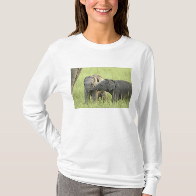 T-shirt Jeunes éléphants d'Inde / d'Asie (Devant)