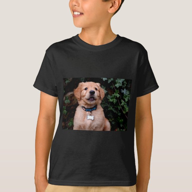 T-shirt Joli chiot photo Golden Retriever Puppy (Devant)