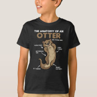Jolie Otter Explication Anatomie D'Une Otter