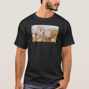 T-shirt Jolies choses pour chats pour filles aux chats fem