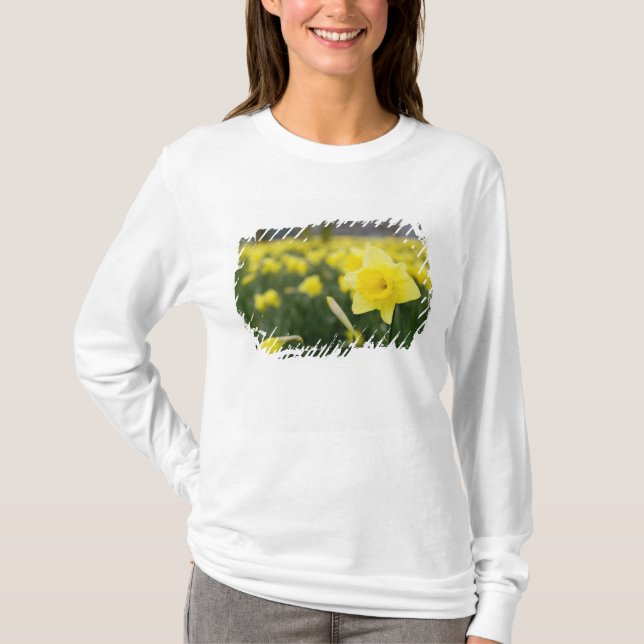 T-shirt Jonquilles (RF) (Devant)