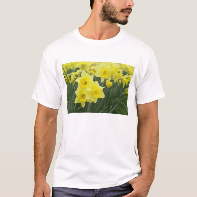 T-shirt Jonquilles RF) (Devant)
