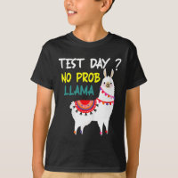 Jour No Prob-llama Llama Teacher Test Day Pour Le