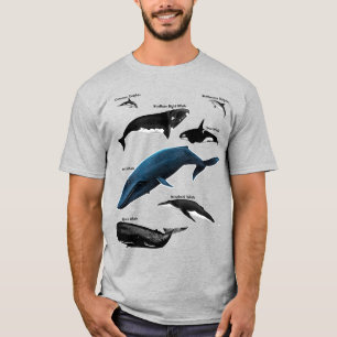 T-SHIRT JOURS DE BALEINE