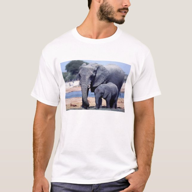 T-SHIRT JUSTE ÉLÉPHANTS (Devant)