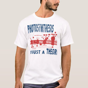 T-shirt Juste une théorie