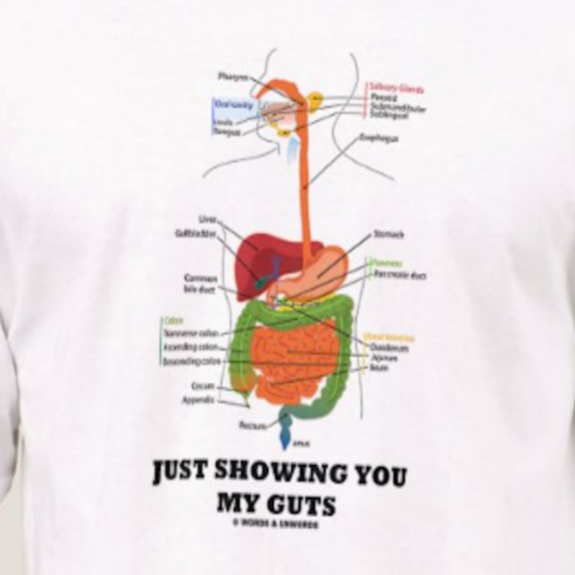 T-shirt Juste vous montrant mes entrailles (police noire (T-shirt featuring human digestive system for anyone who desires to say "Just Showing You My Guts")