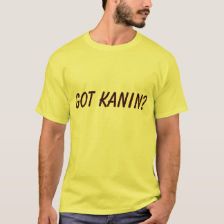 T-SHIRT KANIN OBTENU ?