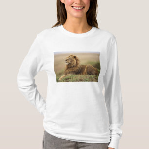 T-shirt Kenya, Masai Mara Lion mâle