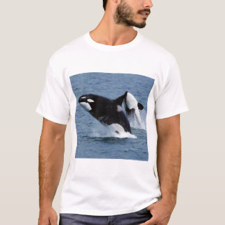 T-shirt Killer whales