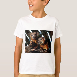 T-shirt Kinkajous