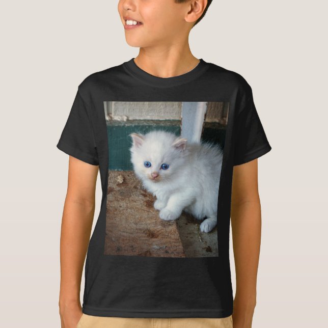 T-shirt Kitten blanc (Devant)