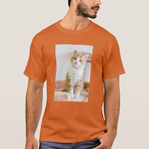 T-shirt Kitty observé par bleu doux