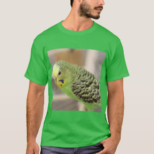 T-shirt Kiwi