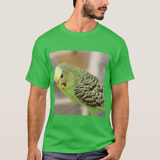 T-shirt Kiwi (Devant)