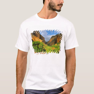 T-shirt Kolob Canyon à Zion Canyon dans le parc national d