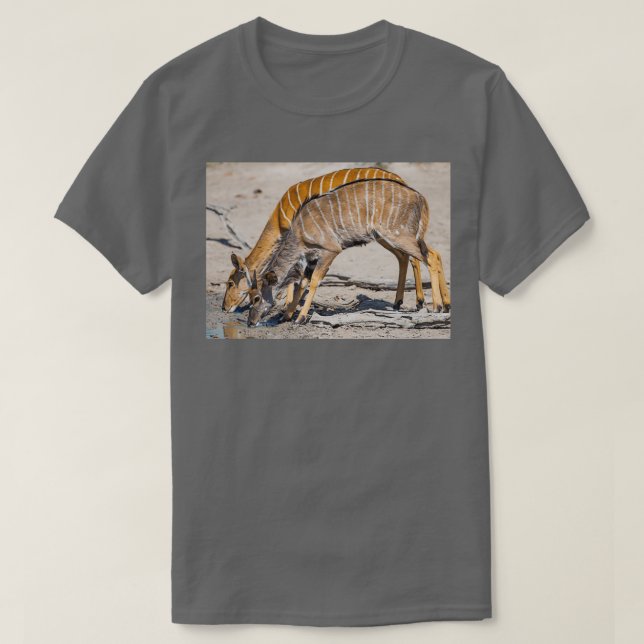 T-shirt Kudu drinking long (Design devant)