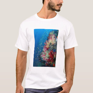 T-shirt La barrière de corail sous-marine, Indonésie
