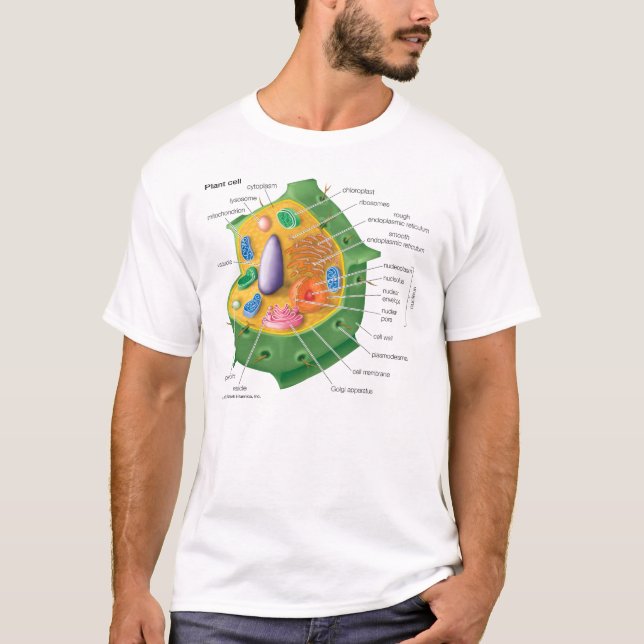 T-shirt La cellule de plante DEVIENNENT INSTRUITE (Devant)