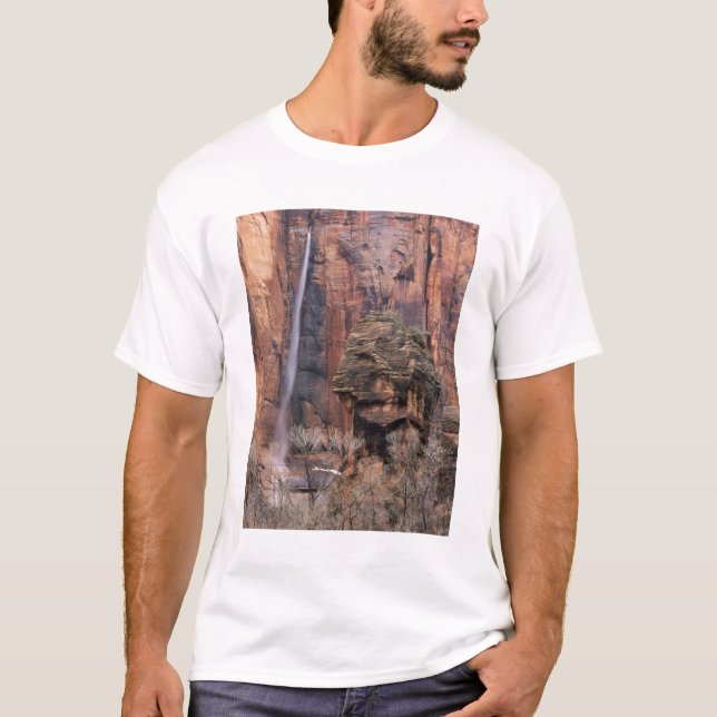 T-shirt La chaire et cascade éphémère (Devant)