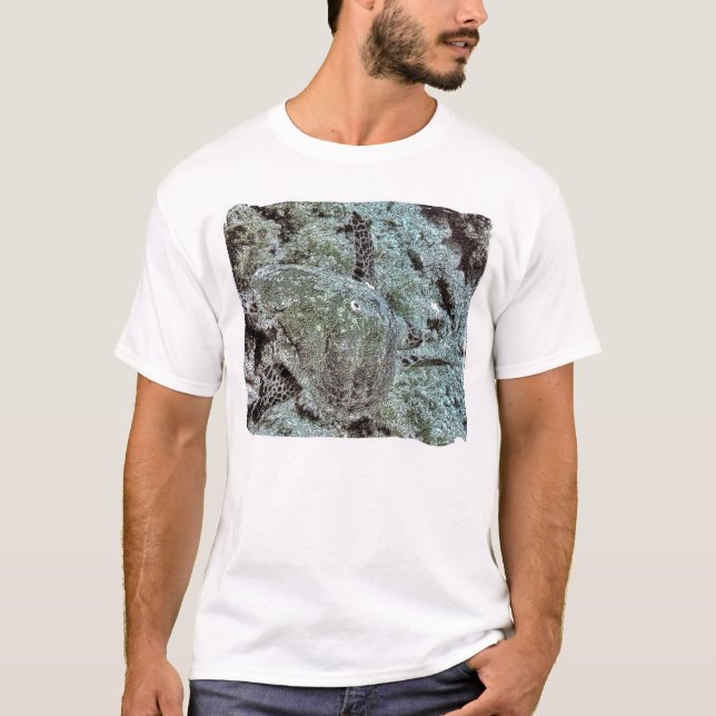 T-shirt La course de la tortue (Devant)