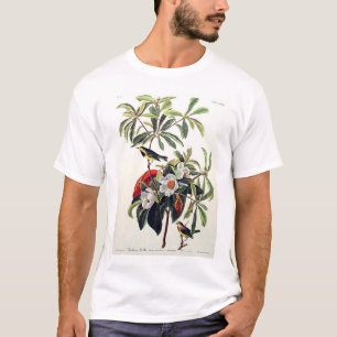 T-shirt La fauvette de Bachman