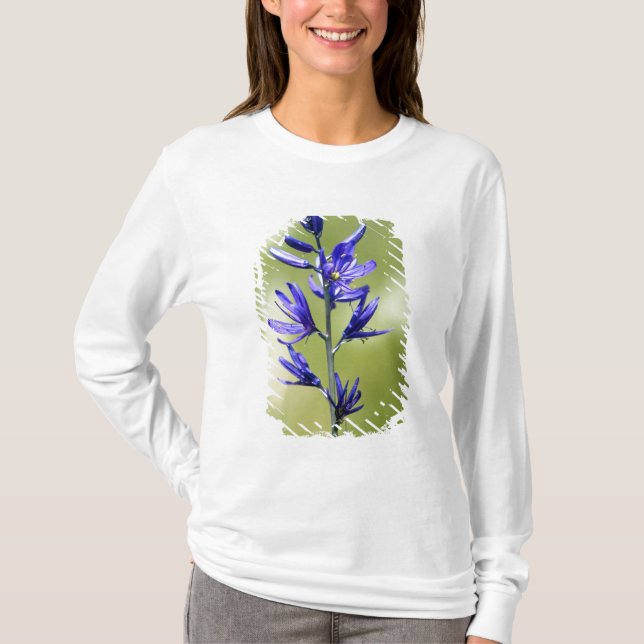 T-shirt La fleur d'un lys camas dans le comté de Valley, (Devant)