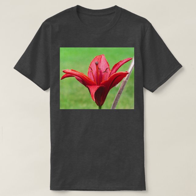 T-shirt La Fleur Rouge (Design devant)