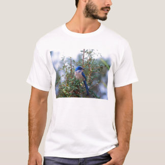 T-shirt La Floride frottent le geai