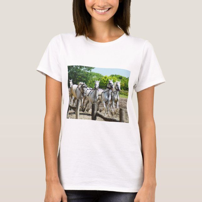 T-shirt La galopante des chevaux (Devant)