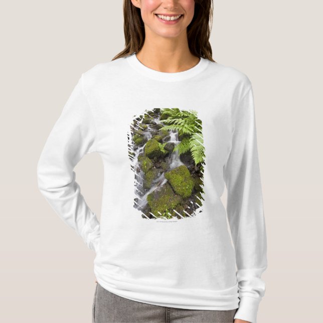 T-shirt La mousse a couvert des roches d'eau et de (Devant)