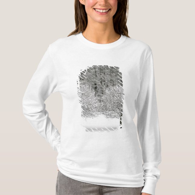 T-shirt La neige a couvert le paysage (Devant)