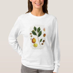 T-shirt La noix de muscade, plaquent 353 "d'un de fines