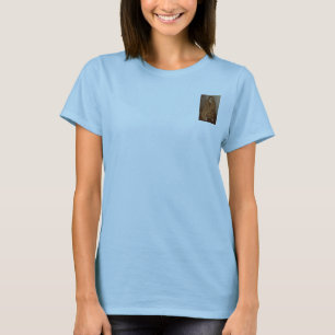 T-shirt La pièce en t secrète de la calypso