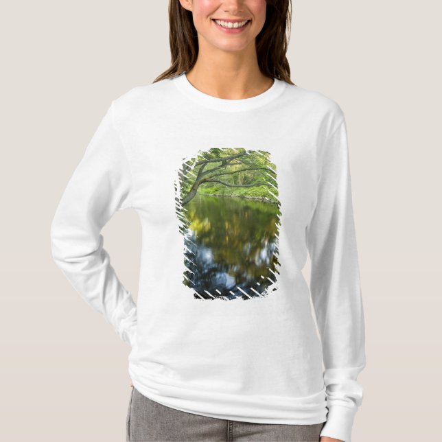 T-shirt La rivière Taunton à Bridgewater, (Devant)