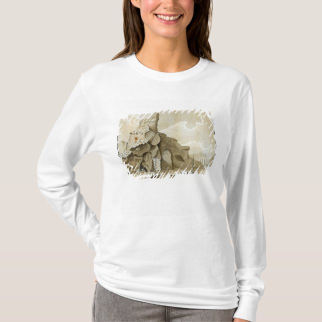 T-shirt La roche de Quang-Yin (Devant)